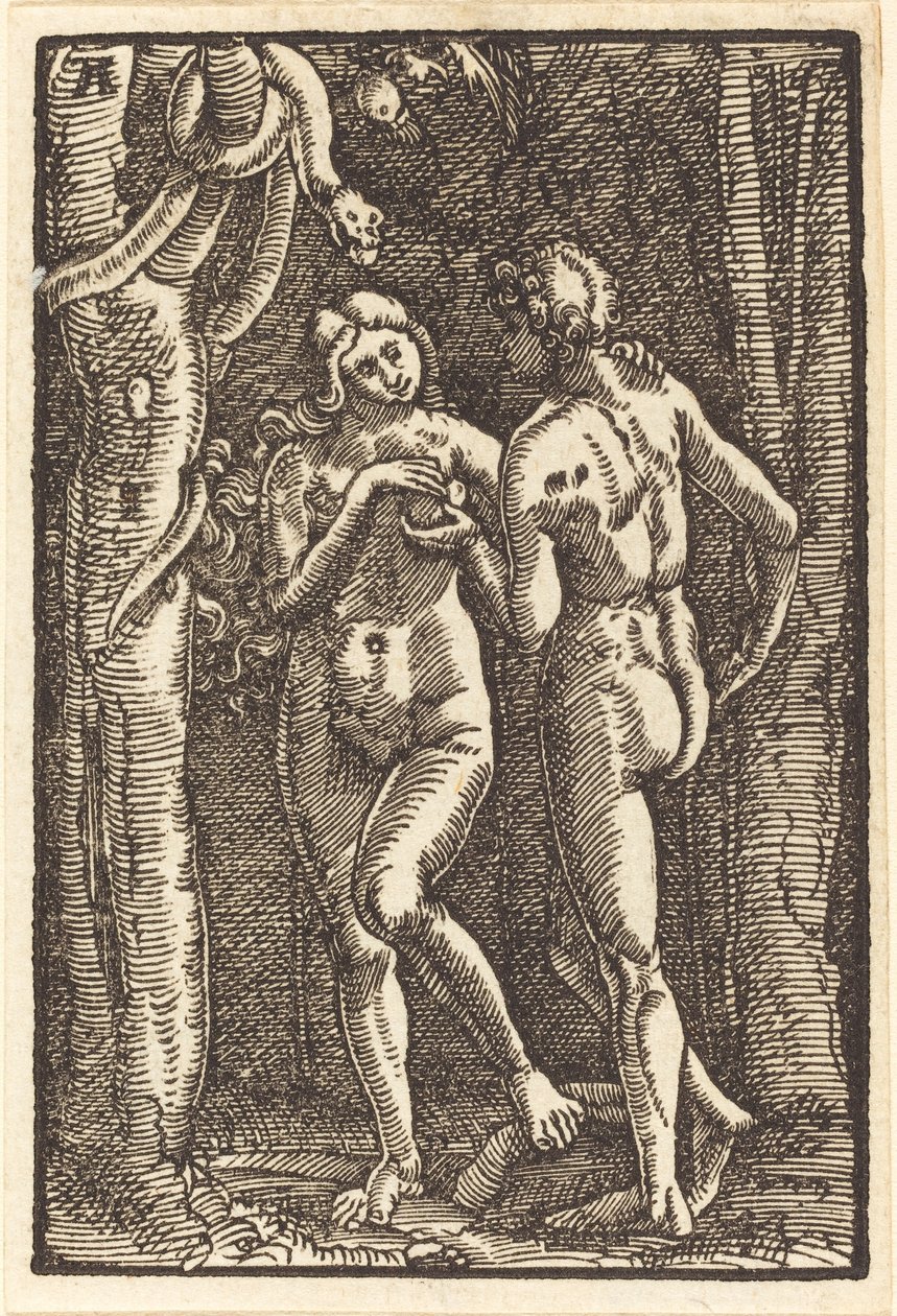A queda do homem de Albrecht Altdorfer
