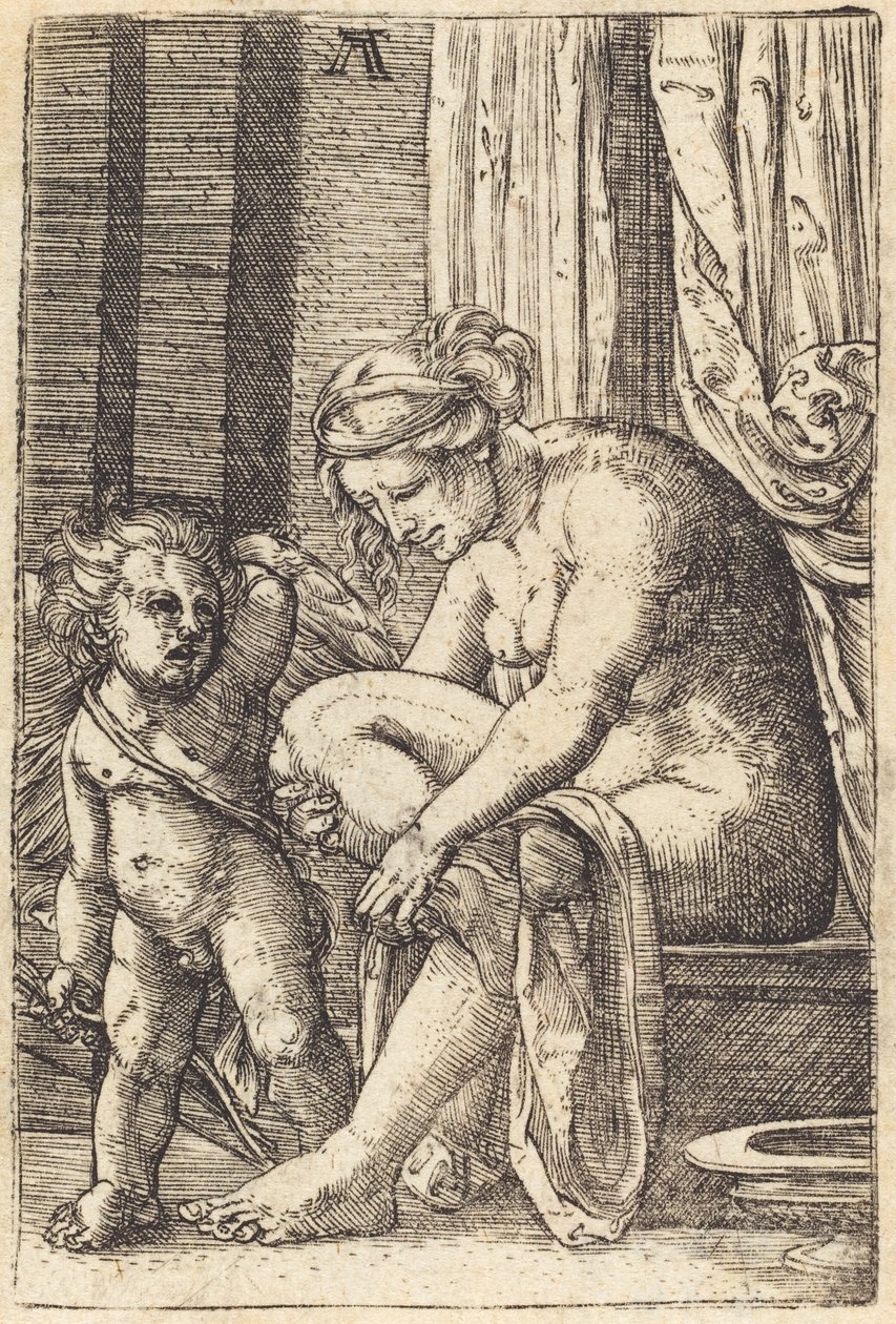 Vênus após o banho de Albrecht Altdorfer