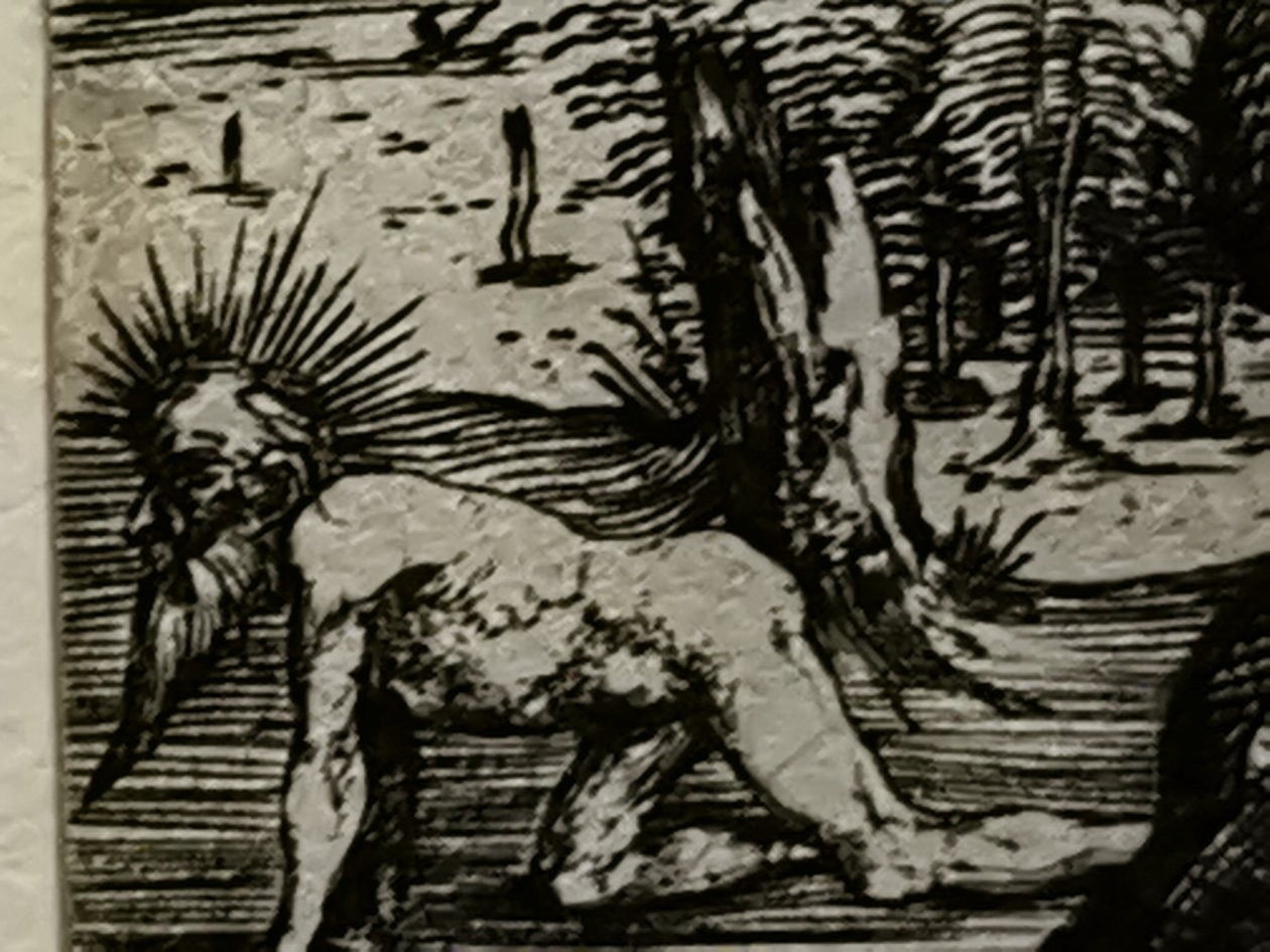 2021 - Segundo lote de julho Mateus2019 (72) de Albrecht Dürer