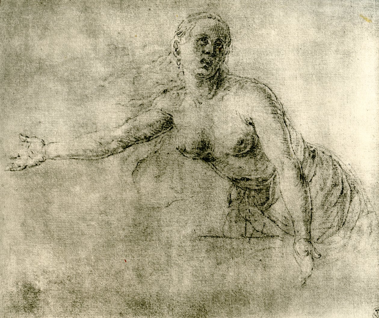 Um estudo, 1913 de Albrecht Dürer