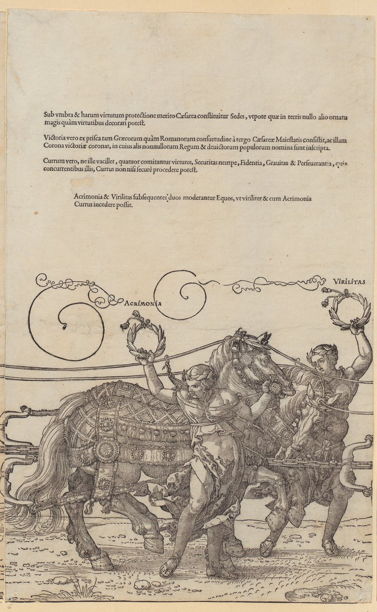 Acrimonia, prancha 6 da série «O grande carro triunfal» de Albrecht Dürer