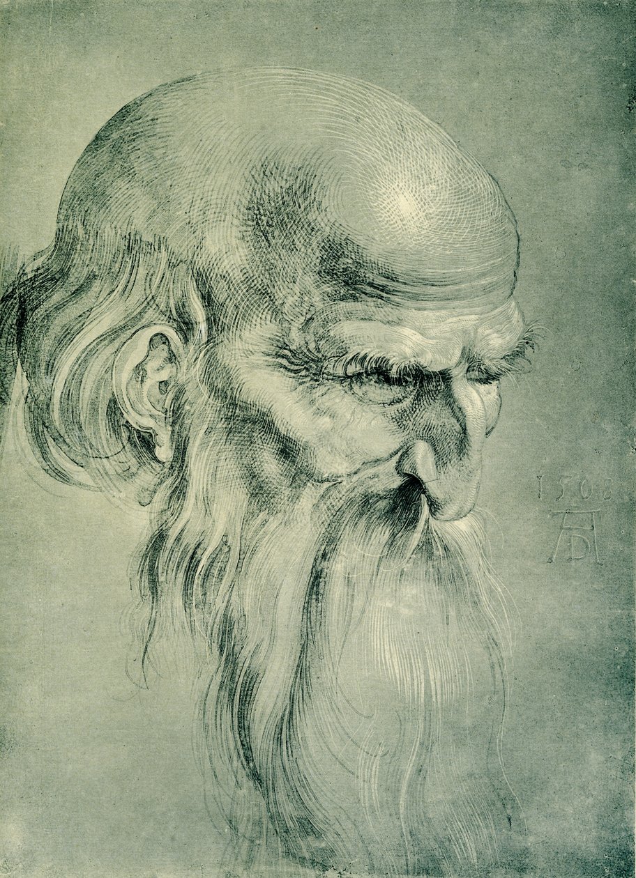 Cabeça de apóstolo de Albrecht Dürer