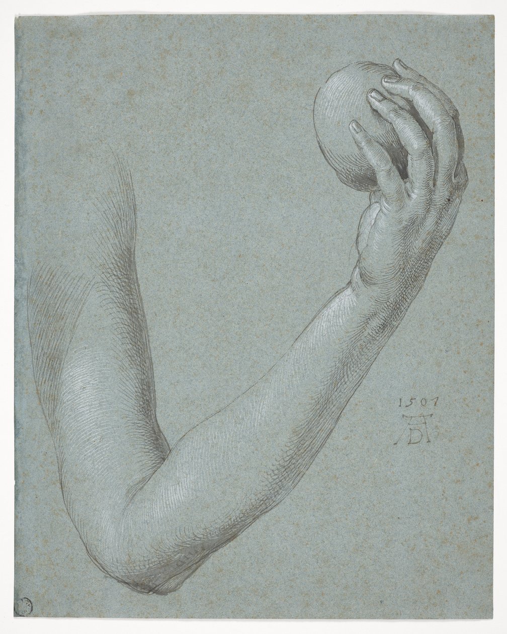 Braço de Eva de Albrecht Dürer