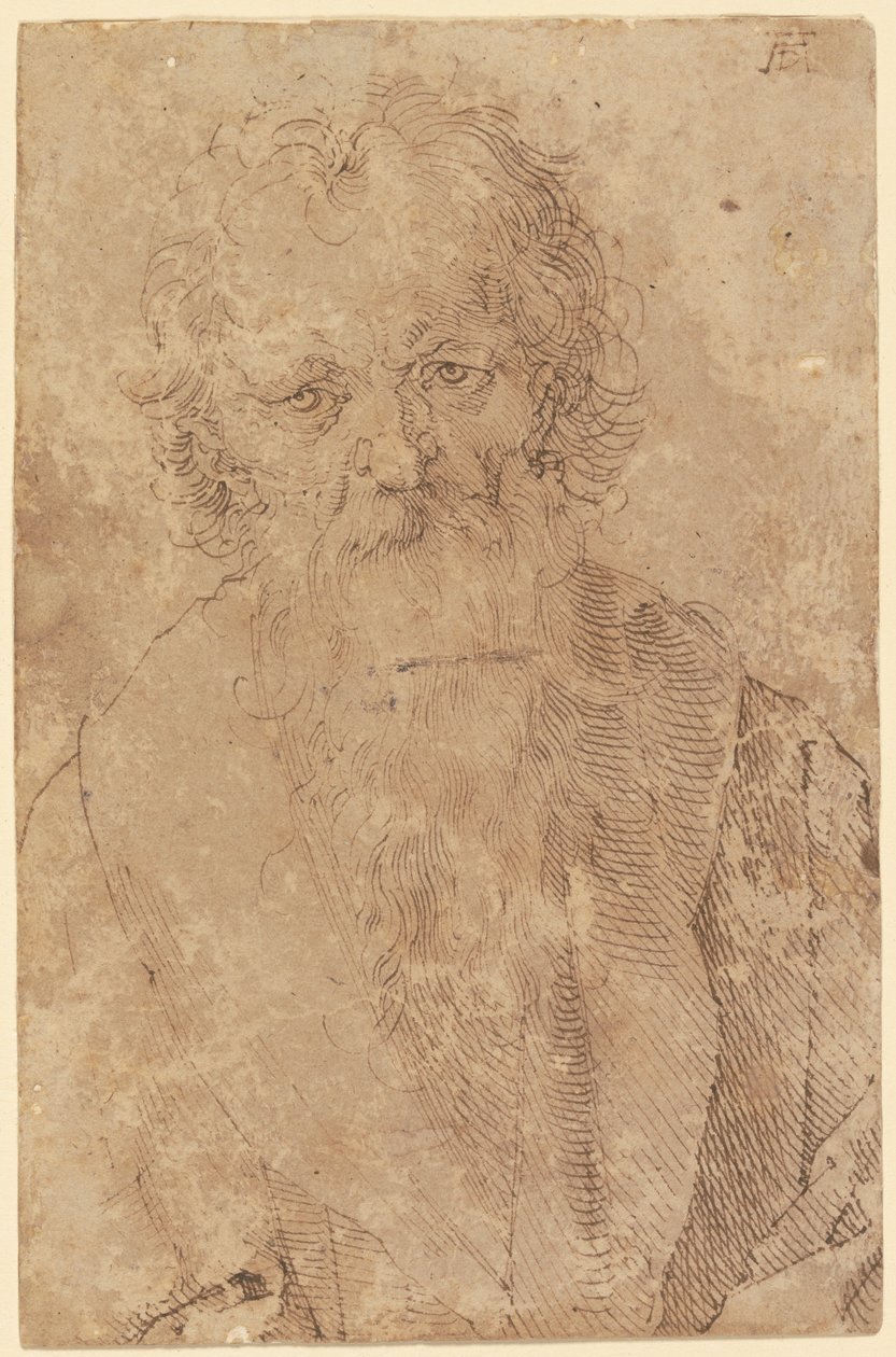 Velho homem barbudo de Albrecht Dürer