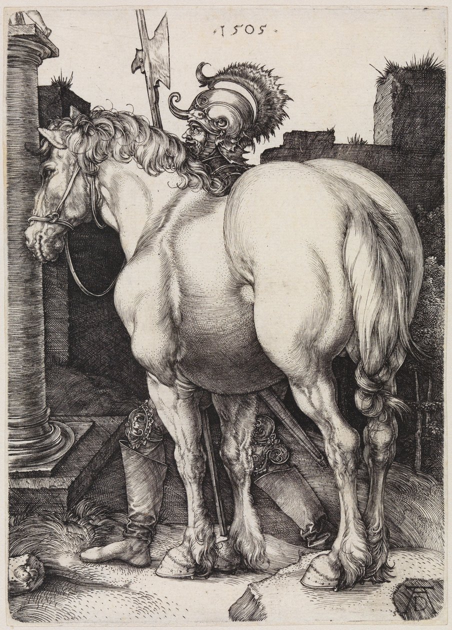O grande cavalo de Albrecht Dürer