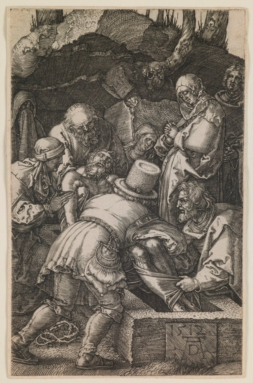 portugese de Albrecht Dürer