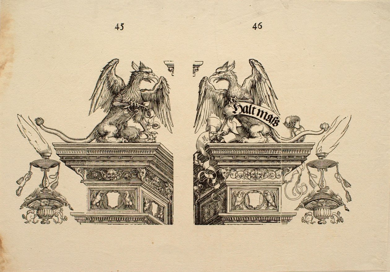 Pormenor 45 e 46 de Albrecht Dürer