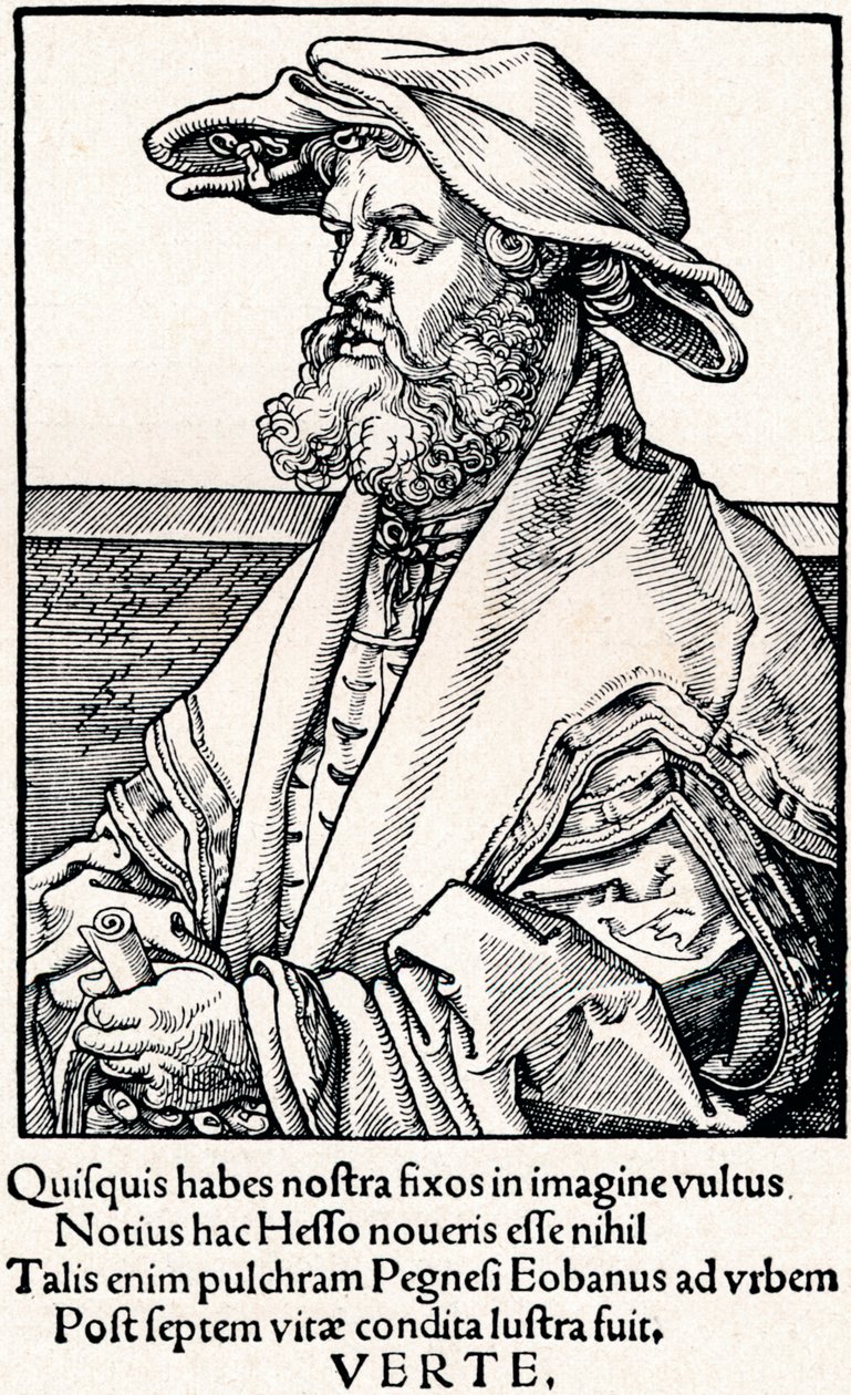 Eobanum Hess, 1527 1906 de Albrecht Dürer