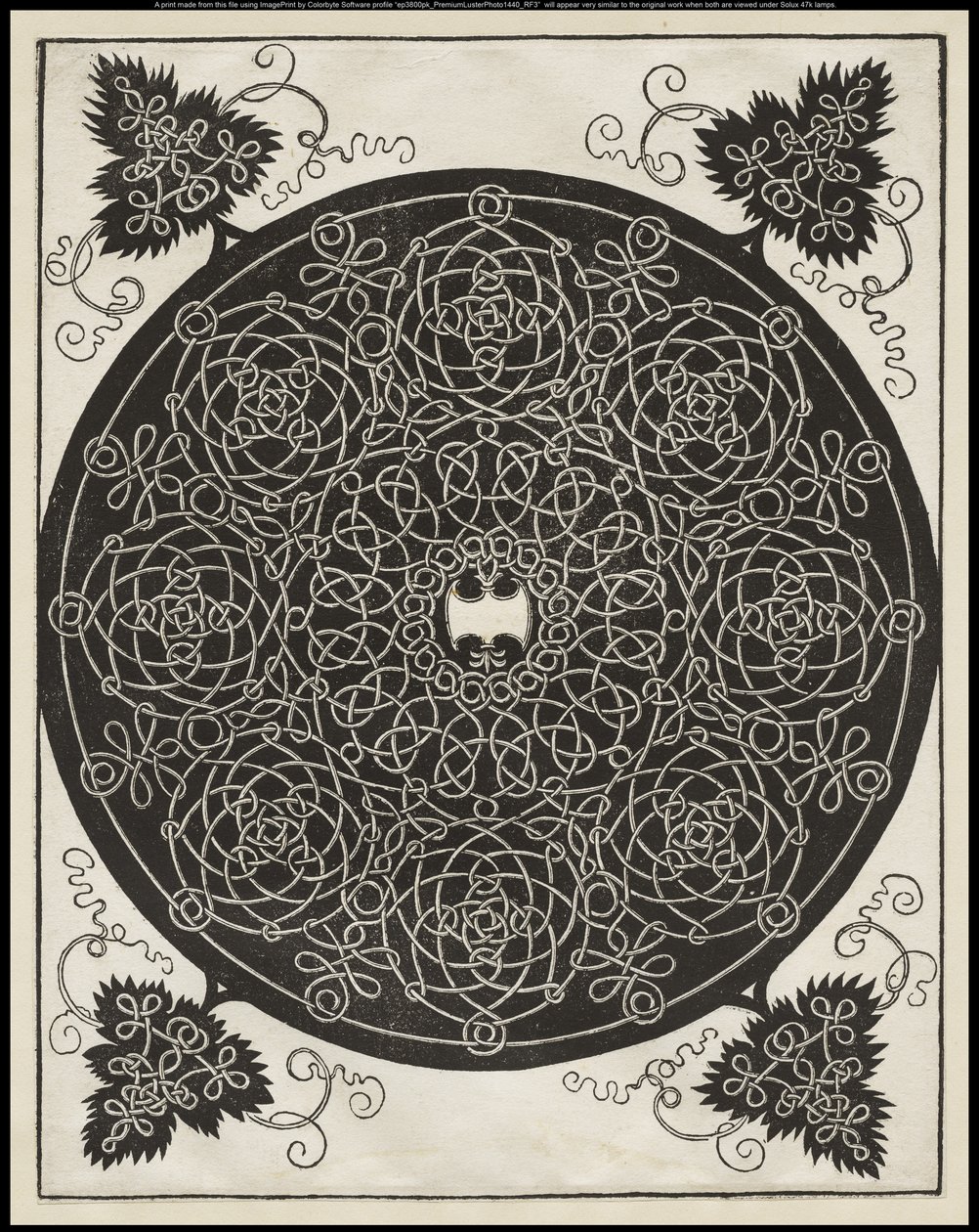 Quinto nó, com um escudo branco com seis pontos no centro, c.1506 de Albrecht Dürer