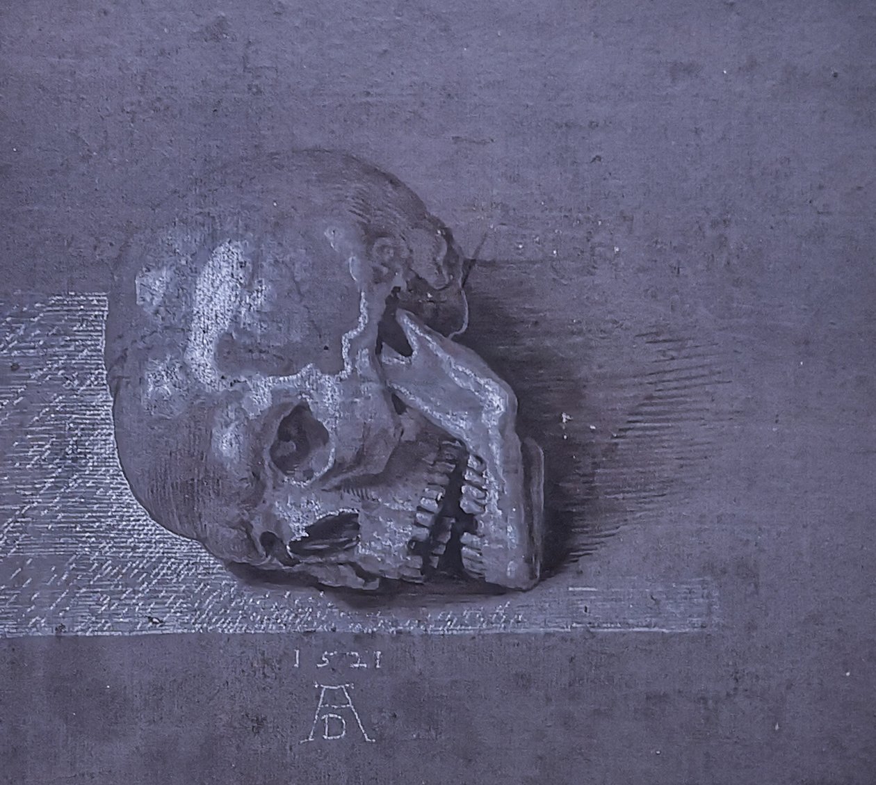 Alemão: Totenschädel. de Albrecht Dürer
