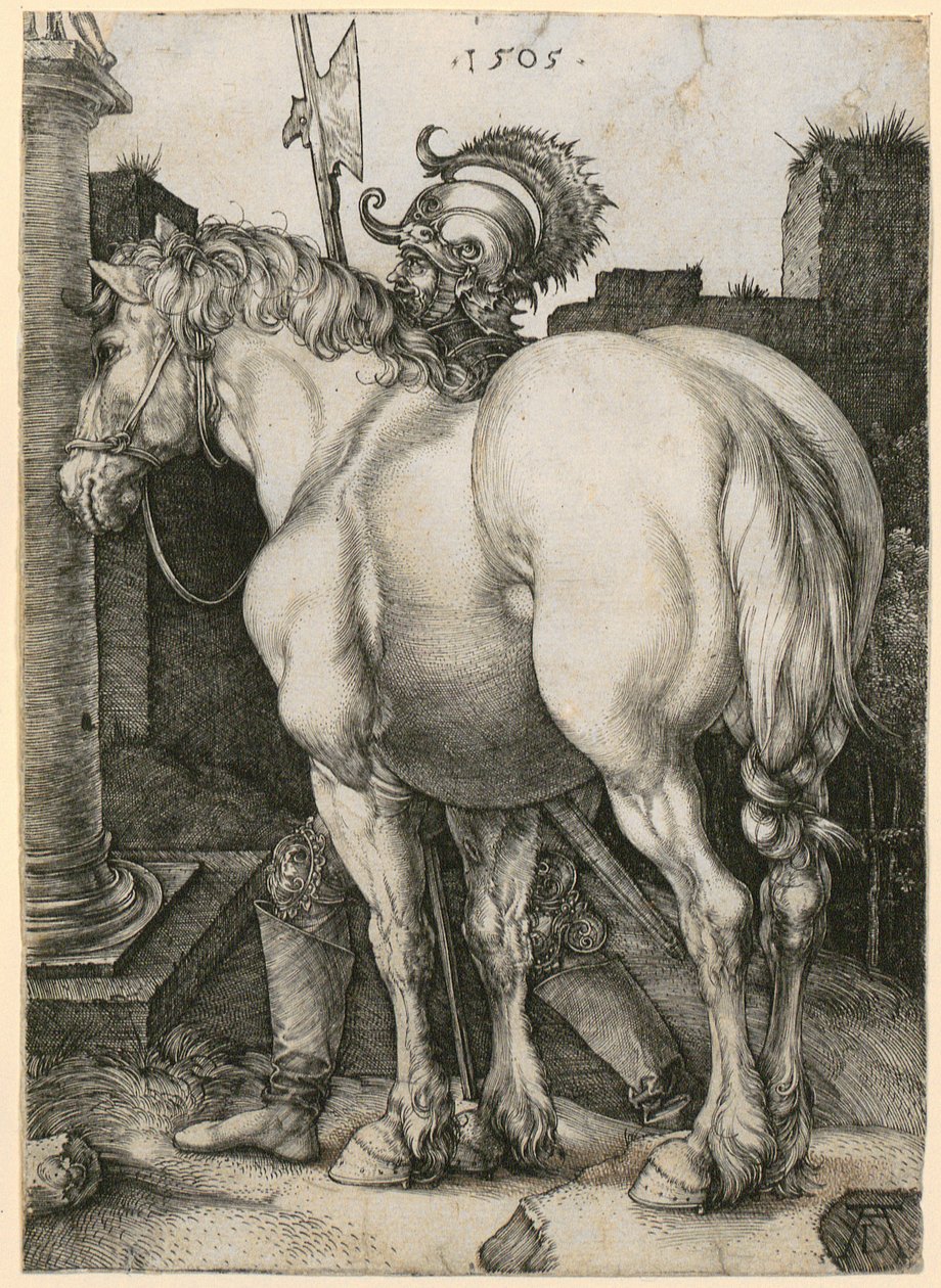 O grande cavalo de Albrecht Dürer