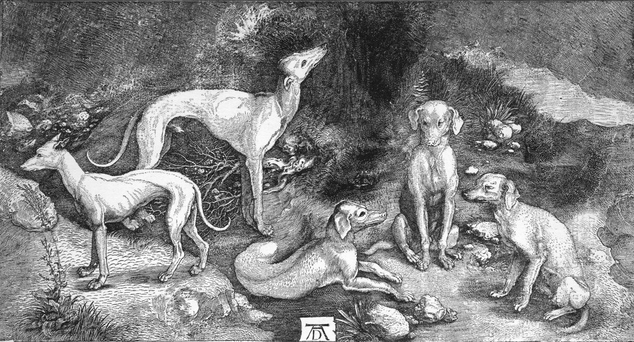 Grupo de cães. Da gravura de Santo Eustáquio, de A. Durer, c1500, 1906 de Albrecht Dürer