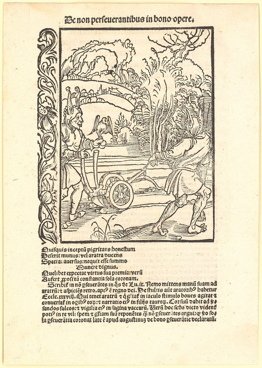 Desprezar bons conselhos de Albrecht Dürer