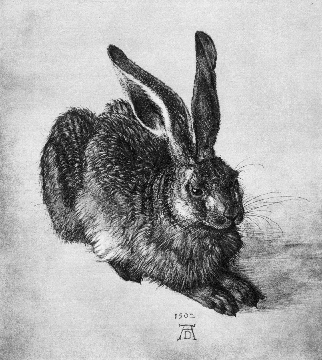 Hare, 1502, 1936 de Albrecht Dürer