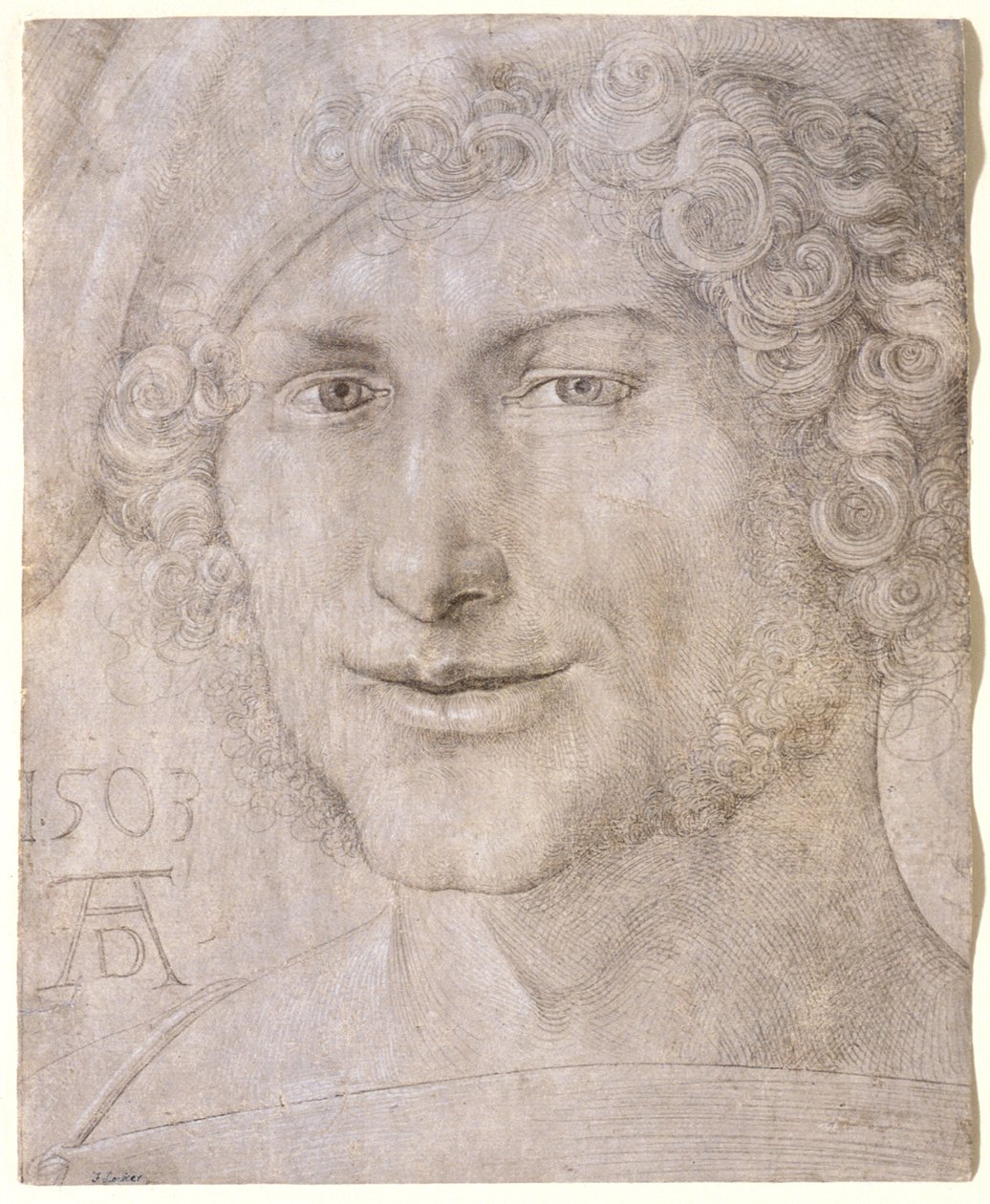 Cabeça de um jovem de Albrecht Dürer