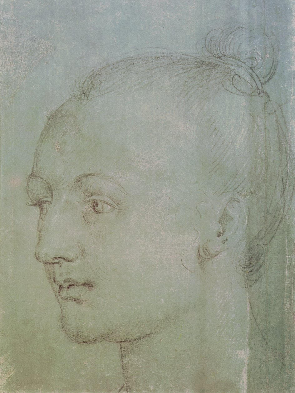 Cabeça de uma jovem mulher (giz preto aumentado com giz branco sobre papel verde) de Albrecht Dürer