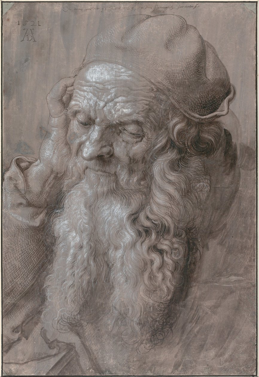 Cabeça de um velho, 1521 de Albrecht Dürer