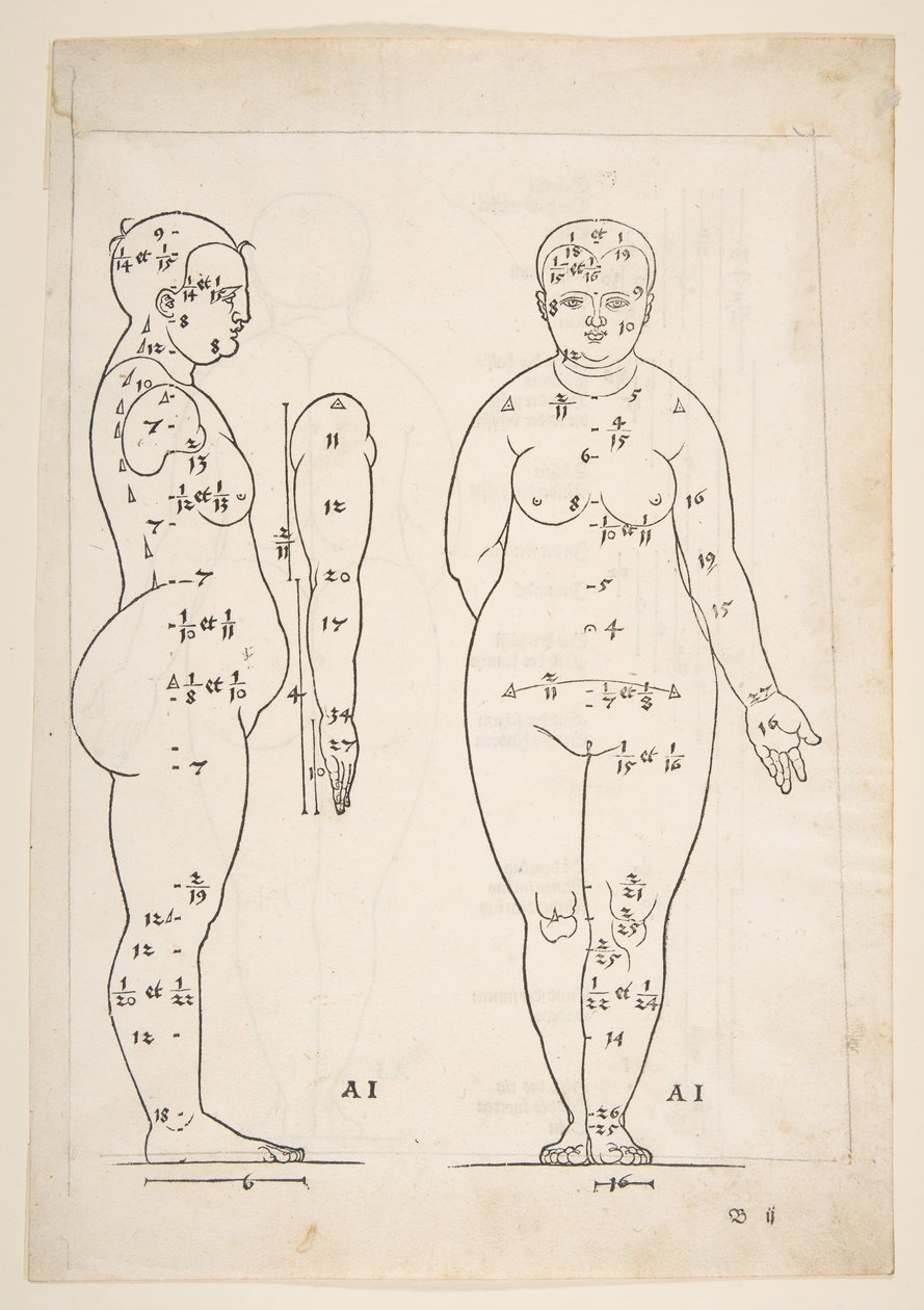 Ilustração dos Quatro Livros da Proporção Humana de Dürer, Nuremberg, 1528.n.d. de Albrecht Dürer