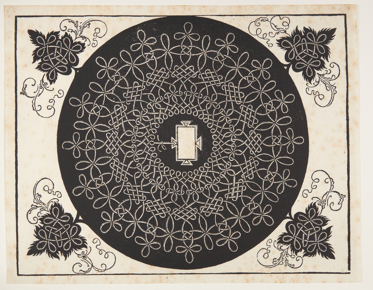 Padrão de cordão entrelaçado com escudo oblongo de Albrecht Dürer