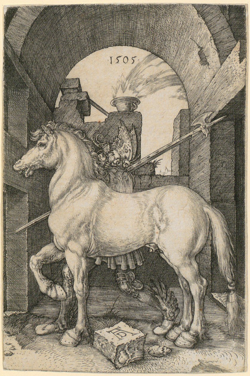 Cavalo pequeno de Albrecht Dürer