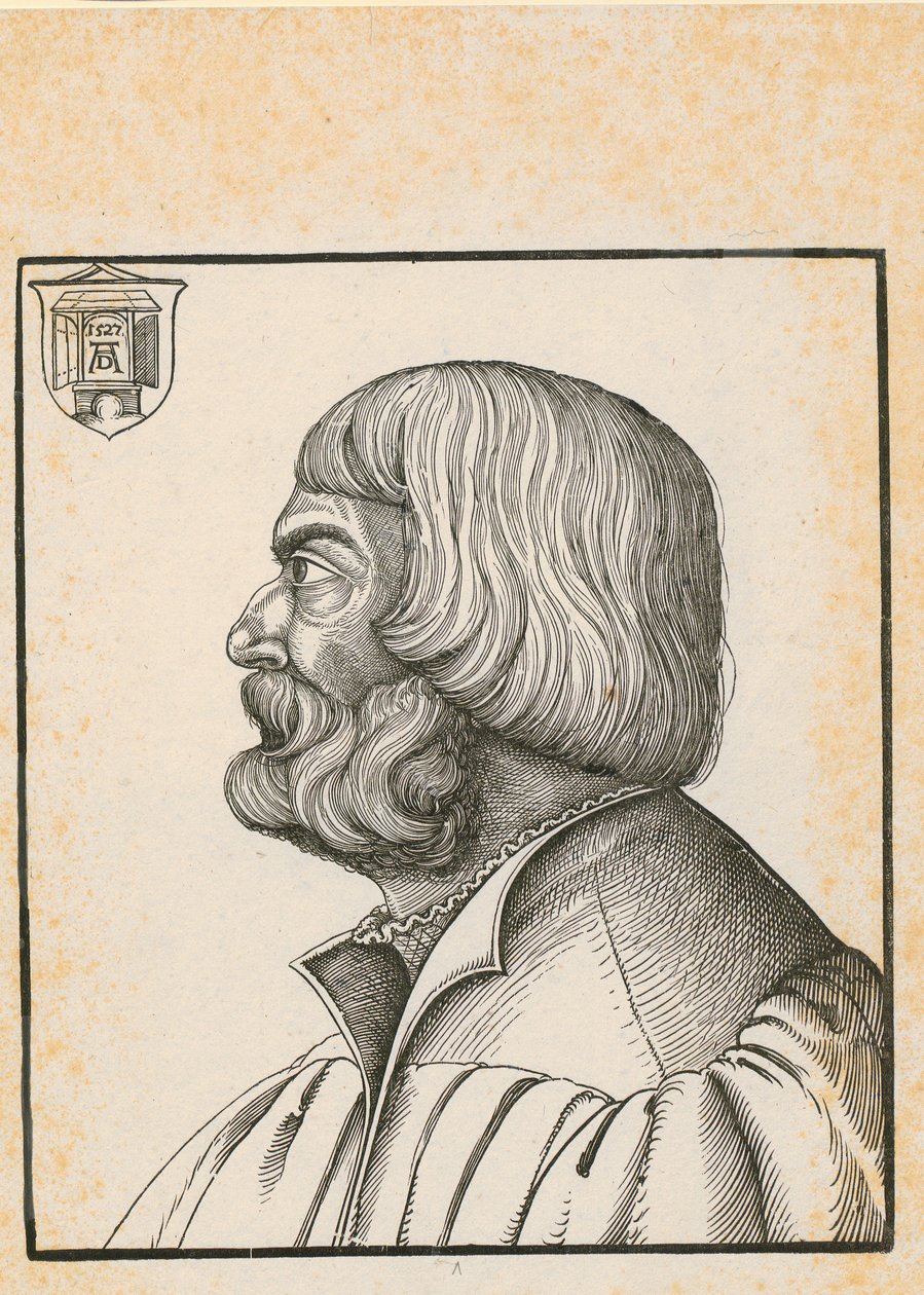 Nó com sete tranças iguais de Albrecht Dürer