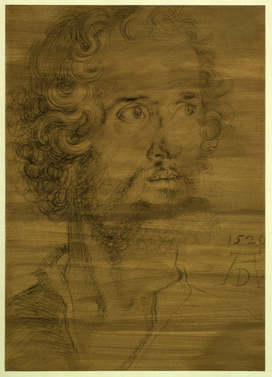 Cabeça do evangelista Marcos de Albrecht Dürer