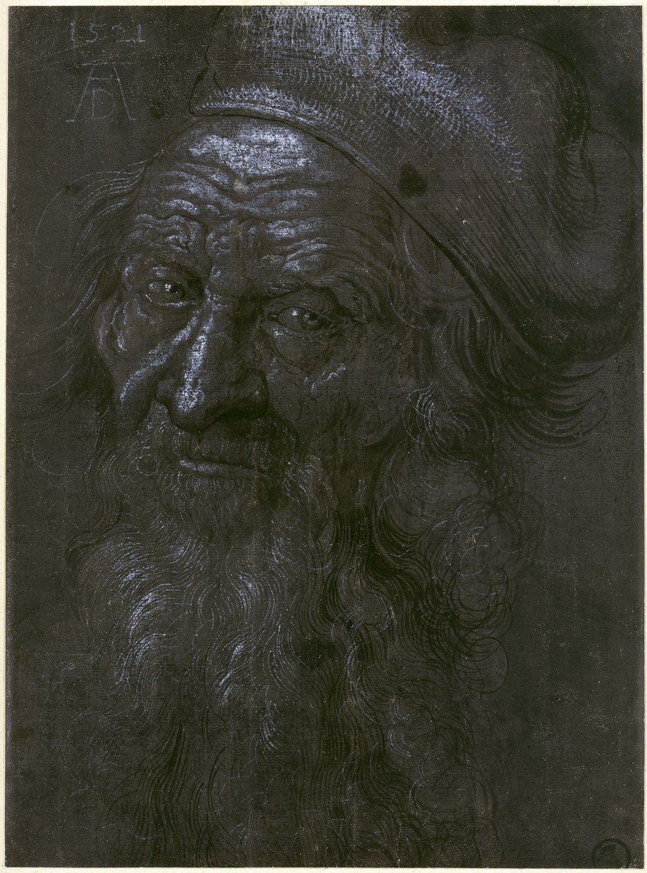 Cabeça de um homem de 93 anos de Albrecht Dürer