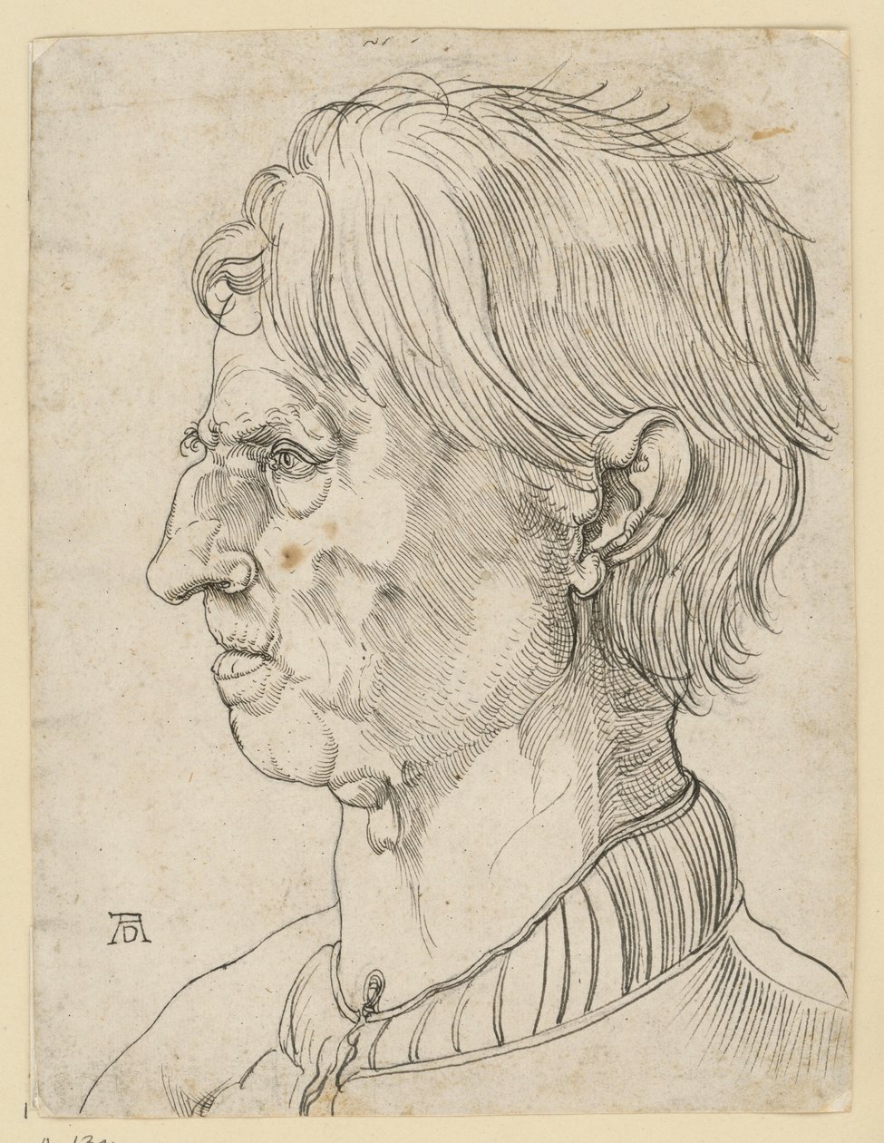 Cabeça de um homem mais velho sem barba, de perfil para a esquerda de Albrecht Dürer