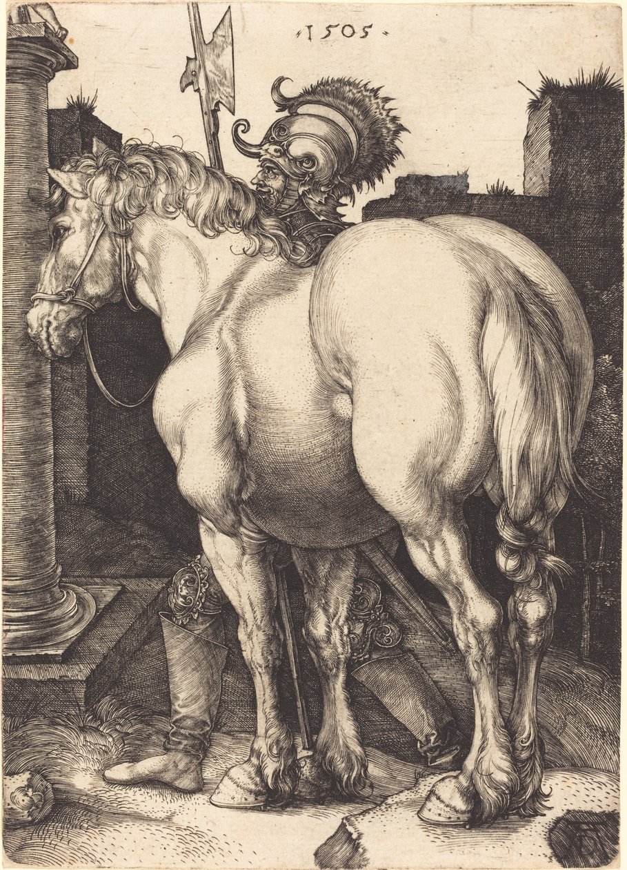 Large Horse de Albrecht Dürer