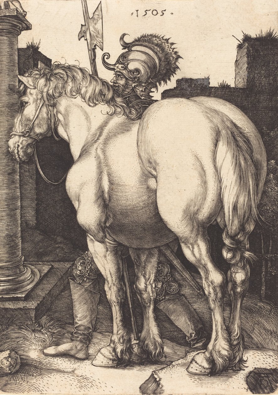 Cavalo Grande, 1505. de Albrecht Dürer