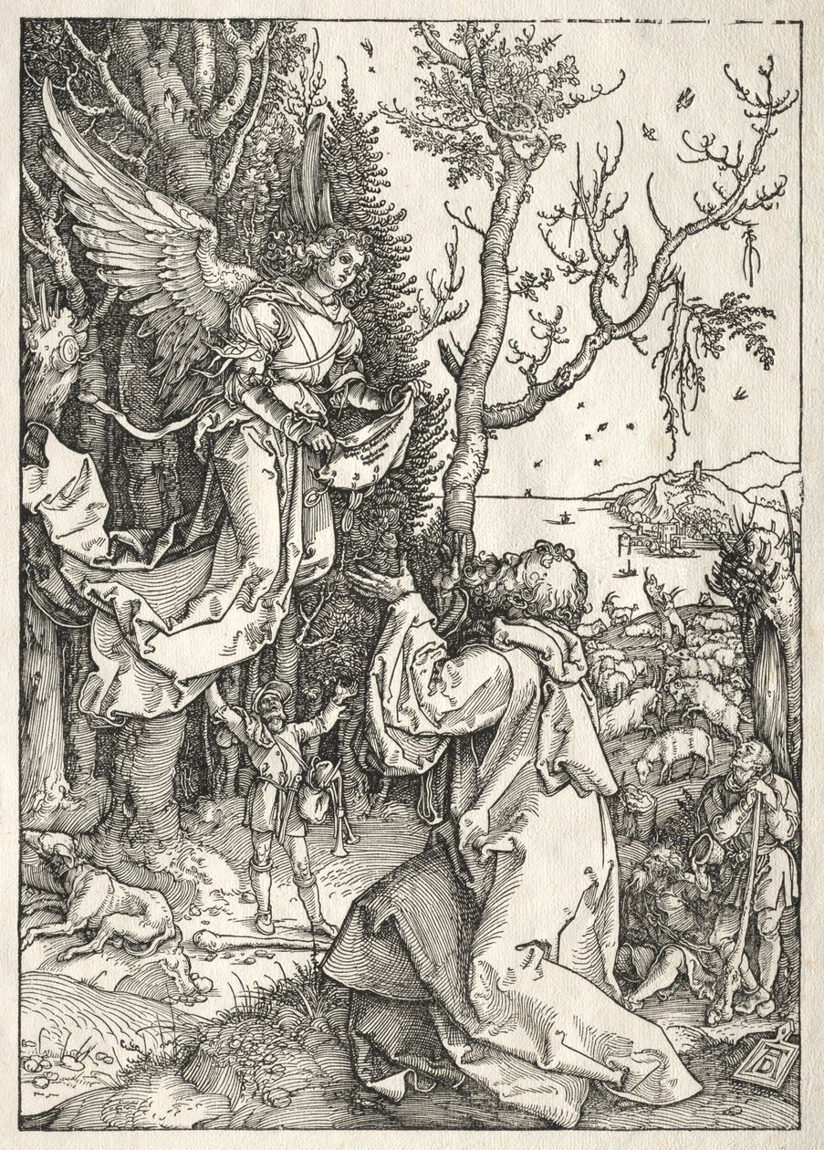 Vida da Virgem: Joachim e o Anjo, c. 1504 de Albrecht Dürer