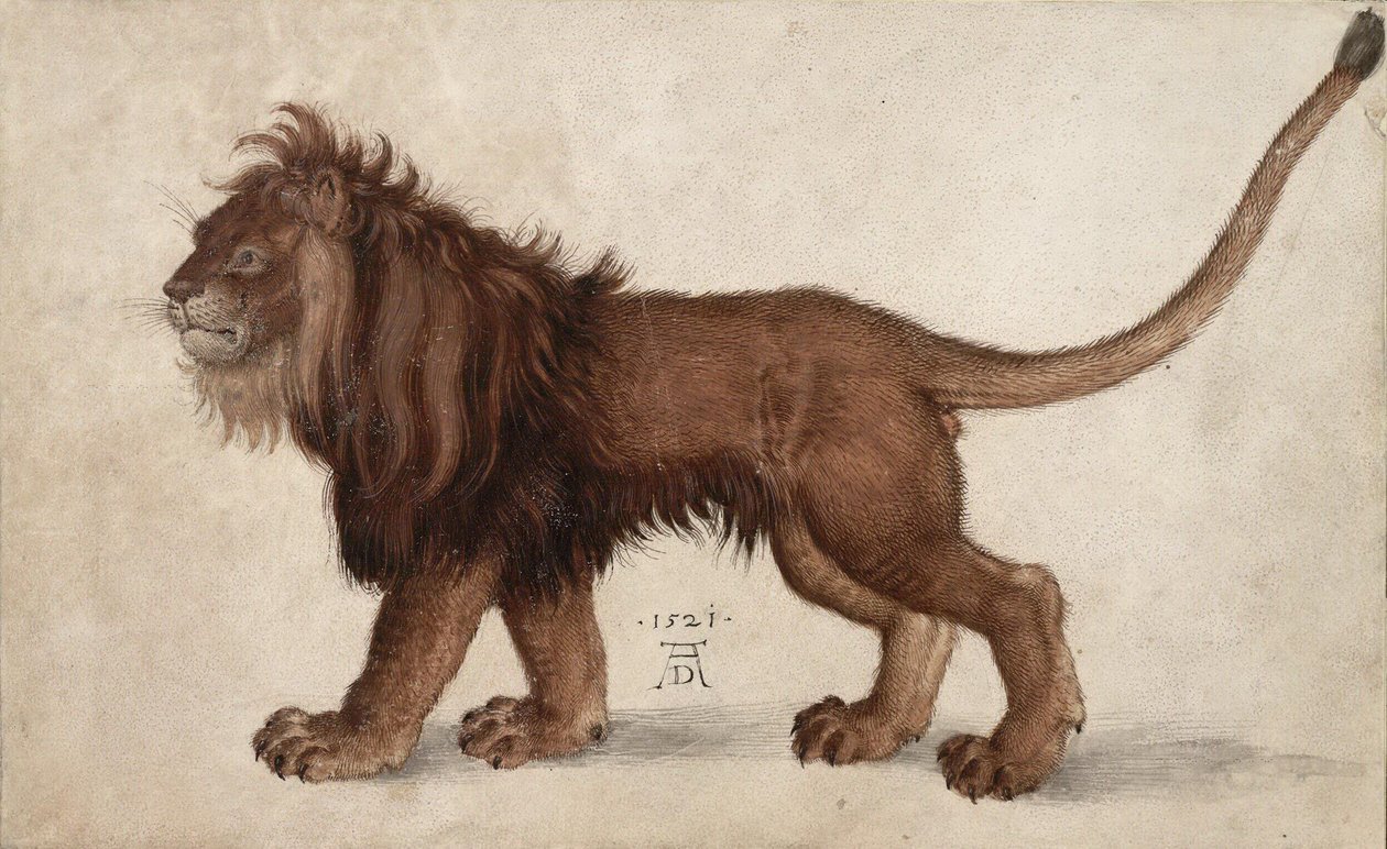 Leão, 1521. de Albrecht Dürer