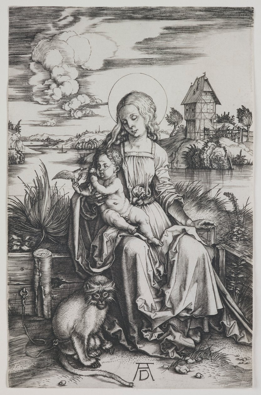 Madona com o macaco de Albrecht Dürer