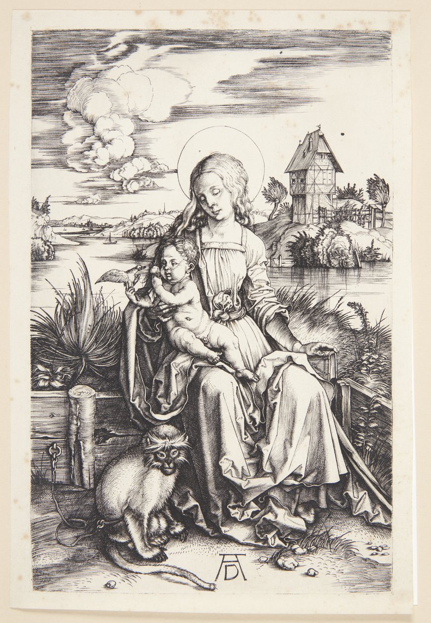 Madonna com o macaco de Albrecht Dürer