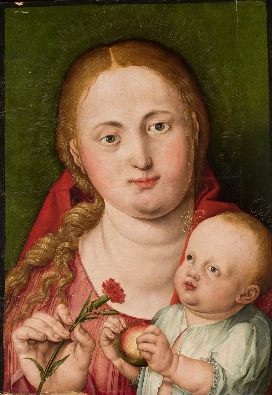 Madona com o Menino Jesus e um cravo de Albrecht Dürer