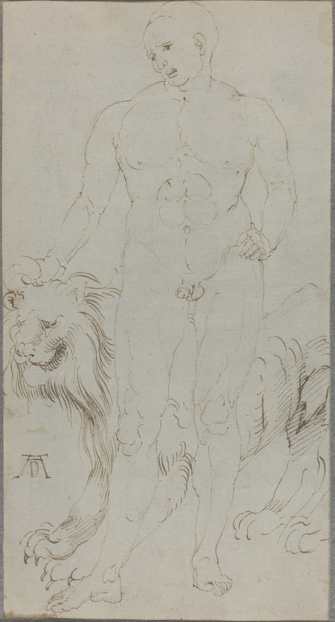 Nu masculino com um leão [verso] de Albrecht Dürer