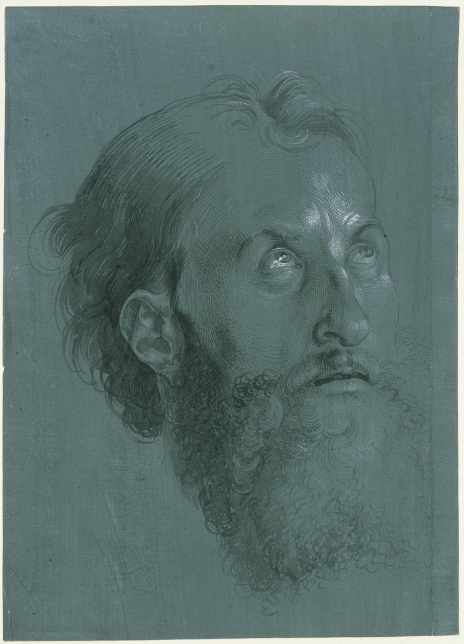 Cabeça de apóstolo voltada para a direita de Albrecht Dürer