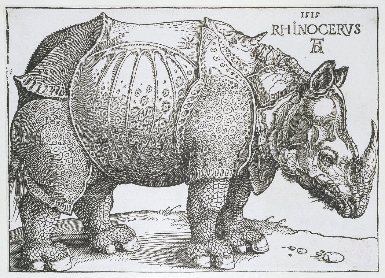 Rhinocerus
Rinocerus (título sobre o objecto) de Albrecht Dürer