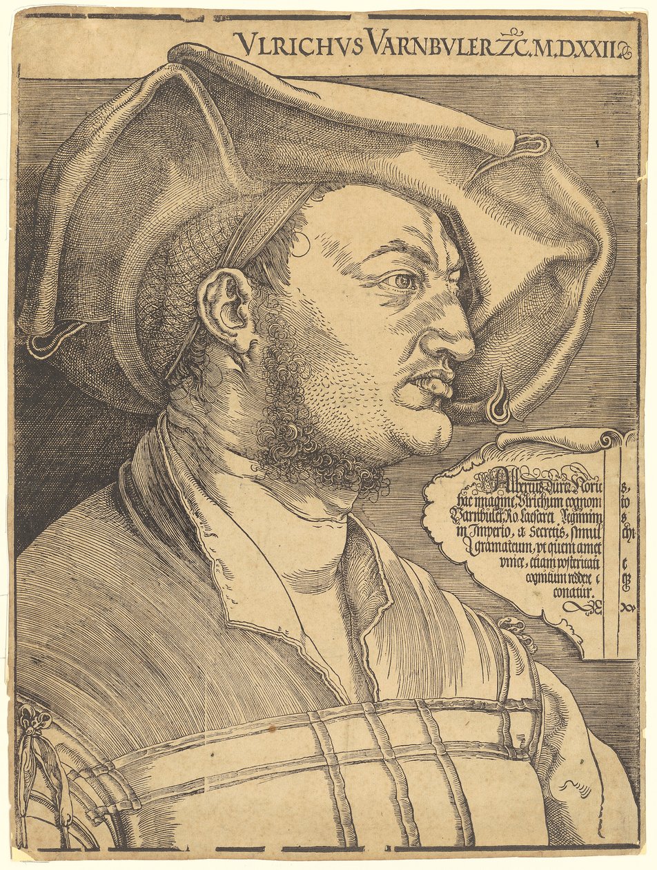 Retrato de Ulrich Varnbüler de Albrecht Dürer