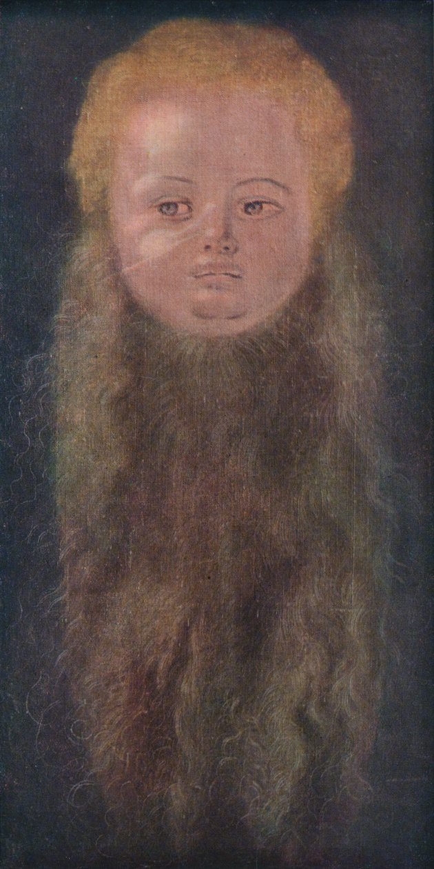 Retrato de um menino de barba longa, 1527, 1939 de Albrecht Dürer