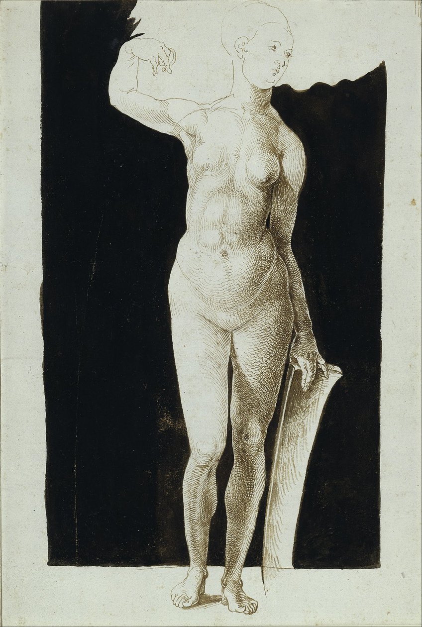 Estudo de proporção de um nu feminino com um escudo de Albrecht Dürer