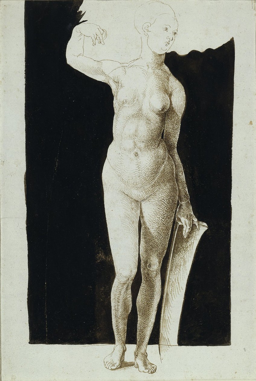Estudo da proporção de mulheres nuas com escudo, 1500 de Albrecht Dürer