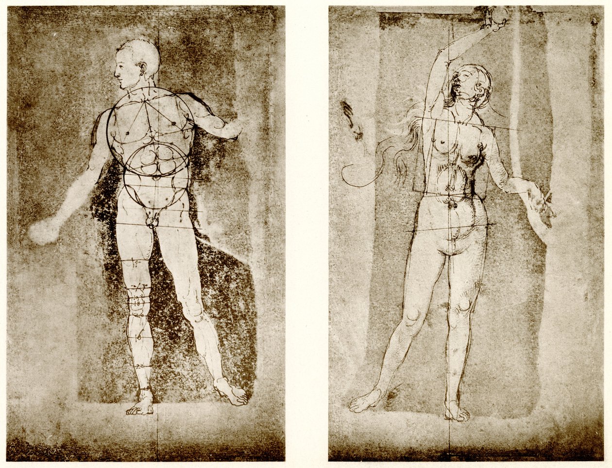 Estudo da proporção em Adão e Eva de Albrecht Dürer