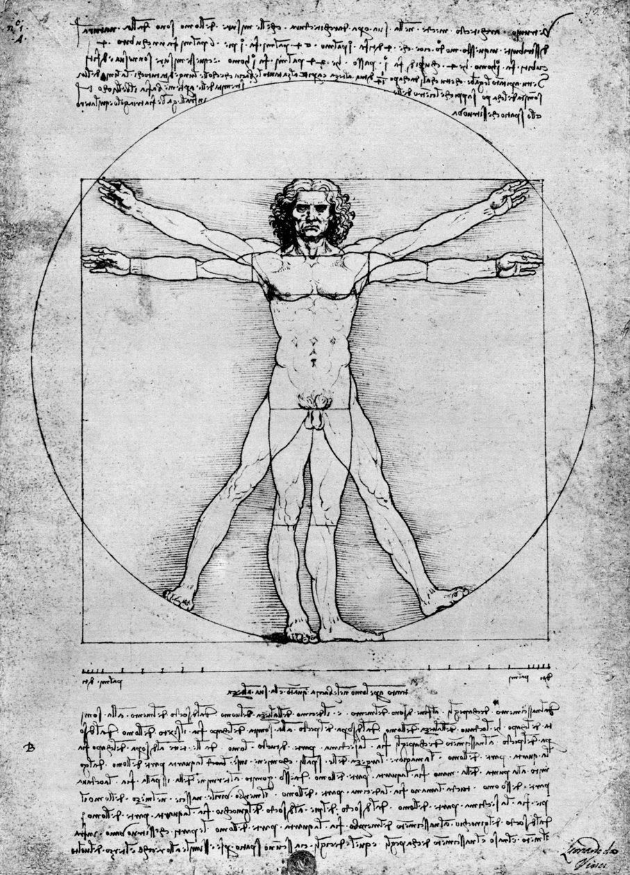 Proporções da figura humana, c1492, 1936 de Albrecht Dürer