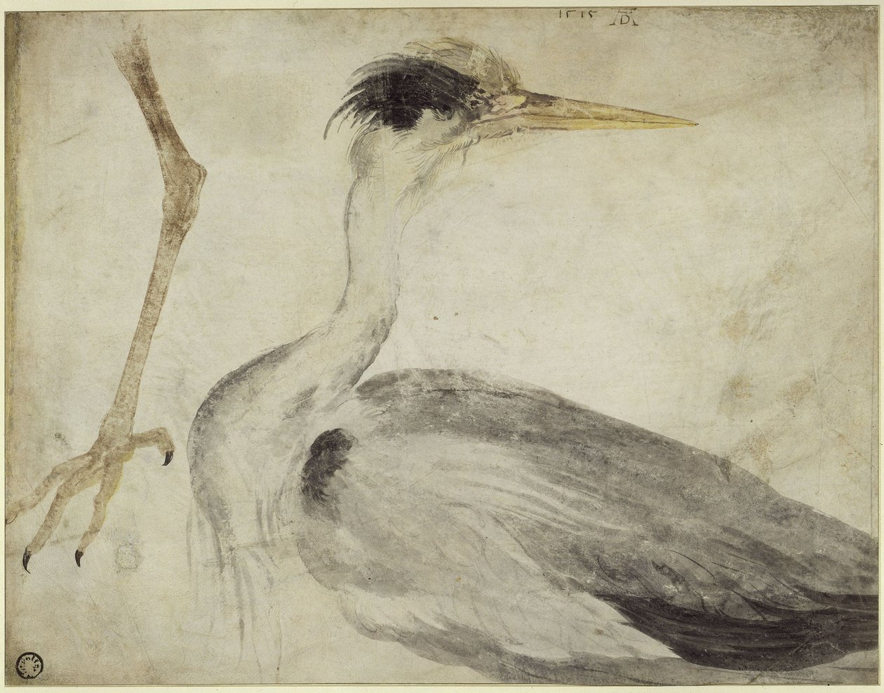 Garça de Albrecht Dürer