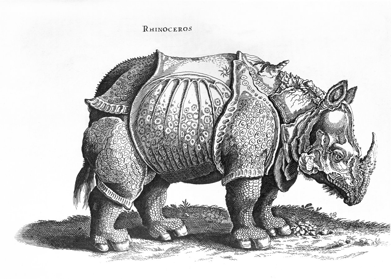 Rinoceronte, de n º 76, "História dos Animais por Conrad Gesner (1516-1565), publicado em julho 1815 de Albrecht Dürer