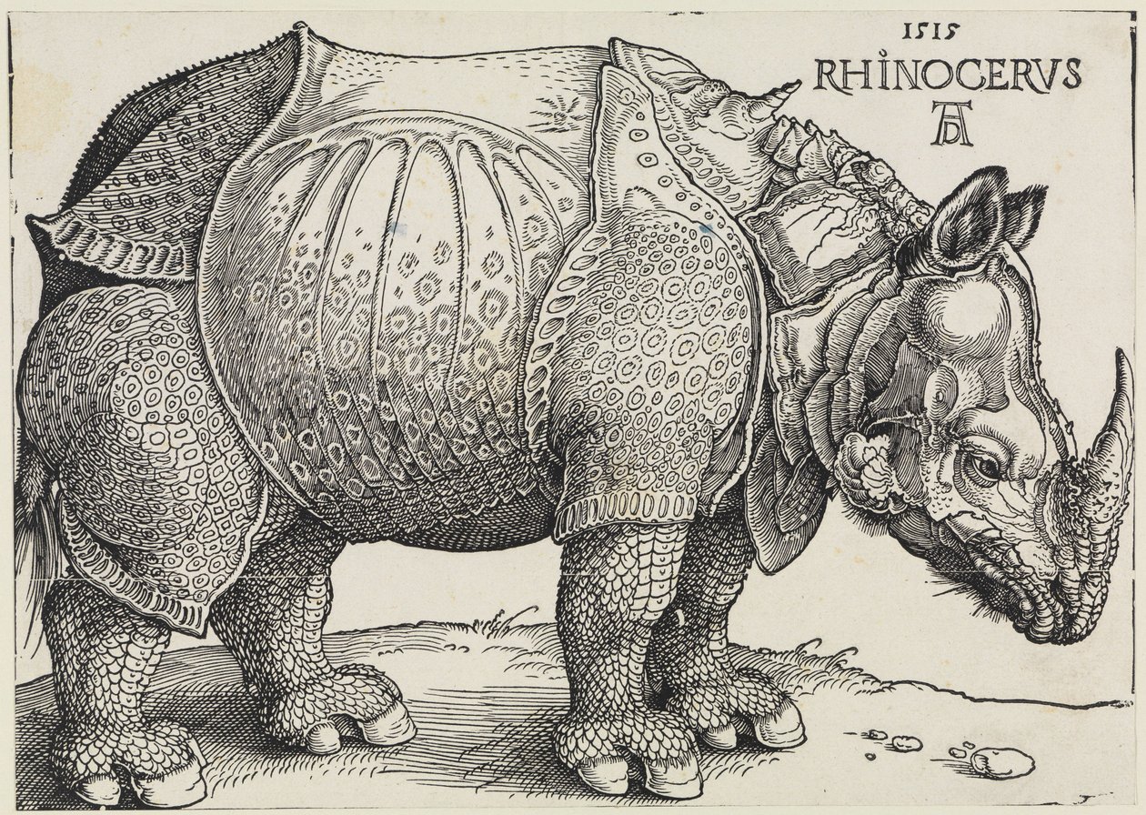 Rhinocerus (O rinoceronte) de Albrecht Dürer
