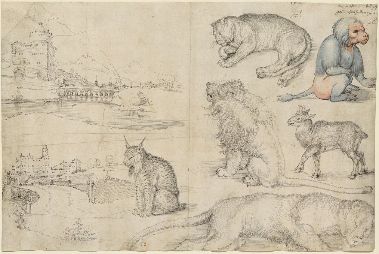 Esboços de Animais e Paisagens, 1521. de Albrecht Dürer