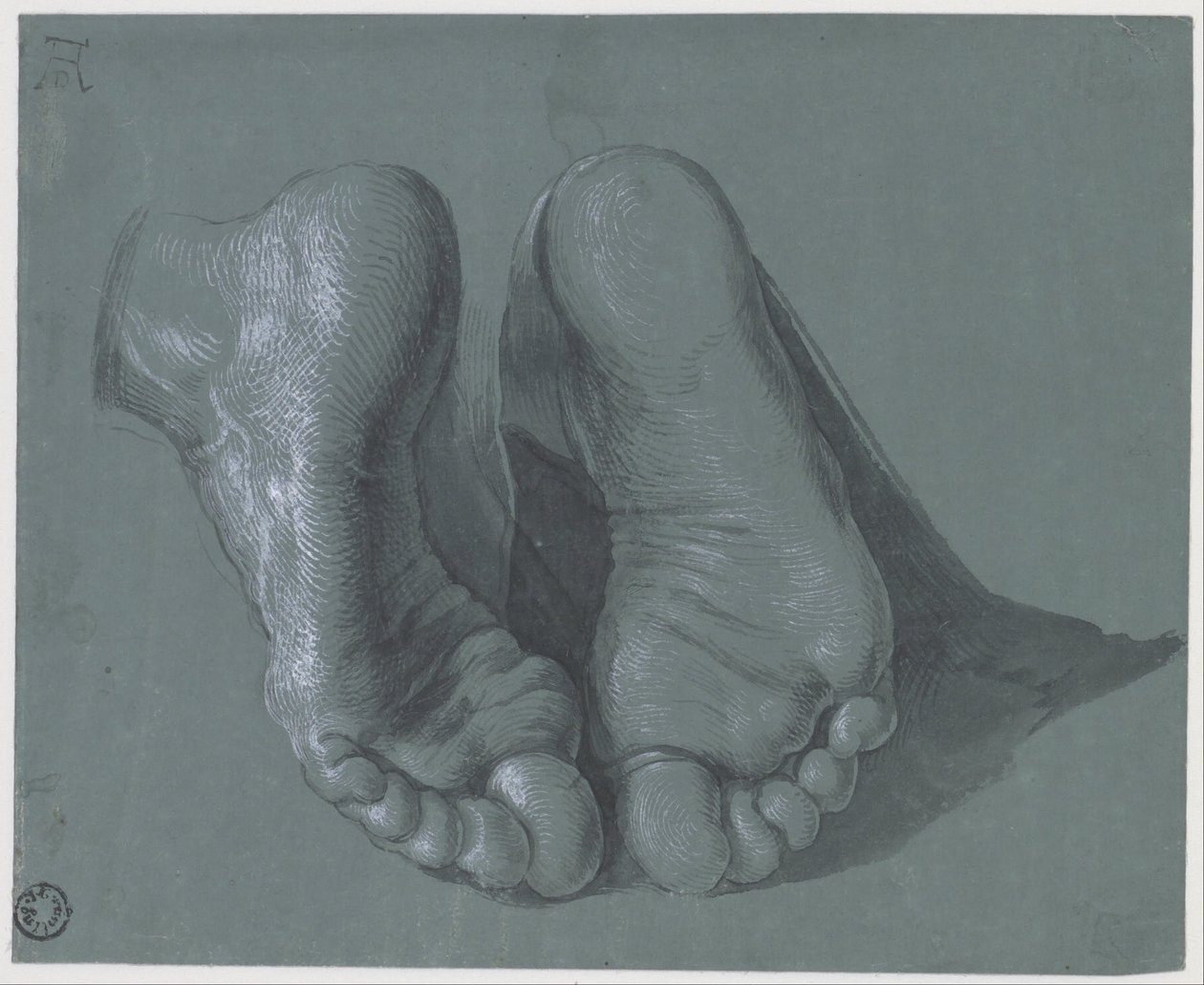 Estudo de dois pés de Albrecht Dürer