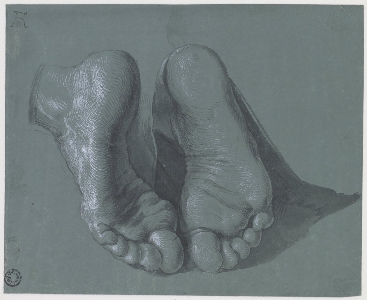 Estudo de Dois Pés, c.1508 de Albrecht Dürer